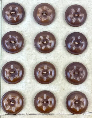 Antique Victorian Brown Carved Vegetable Ivory Shank Buttons x35