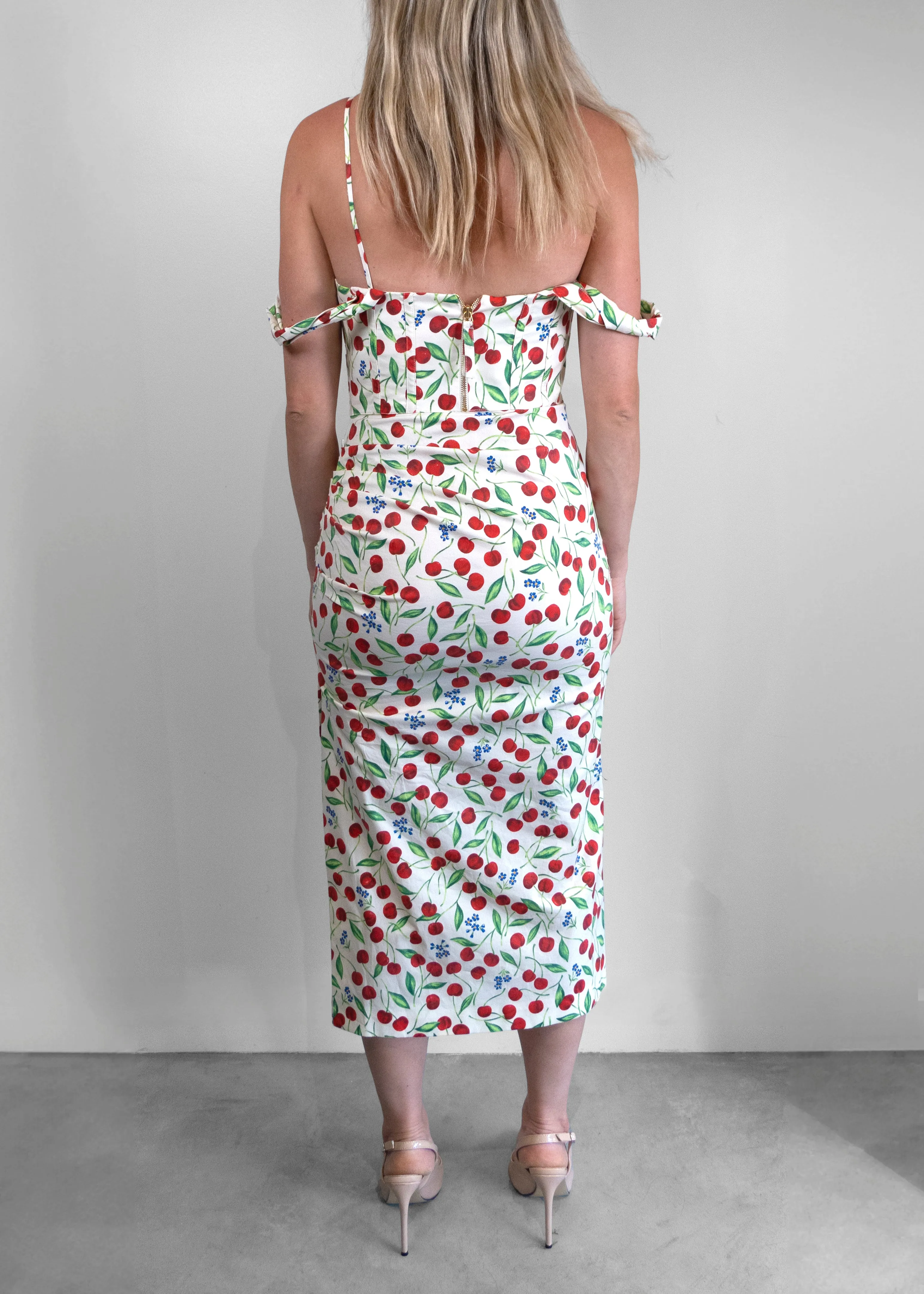 Carolina Herrera Printed Midi Length Dress