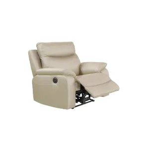 CozyLuxe Power Recliner