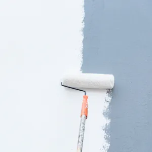 ECOS Paints - Wall Primer