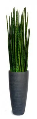 Snake Grass 39" Concrete Planter